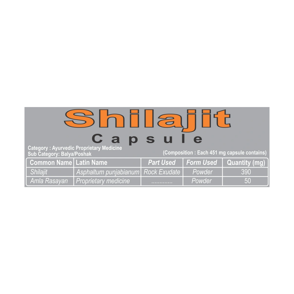 Patanjali Shilajit capsule 20N